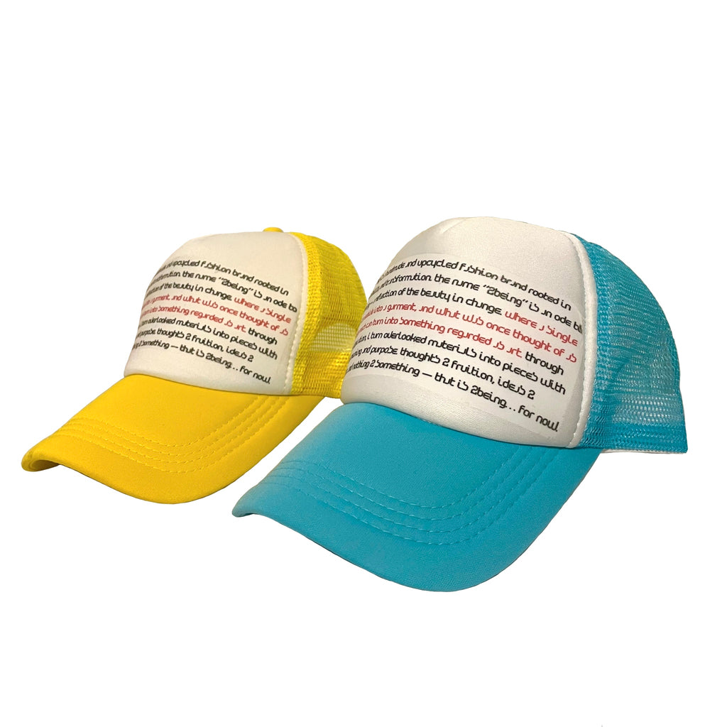 Mission Statement Trucker MP